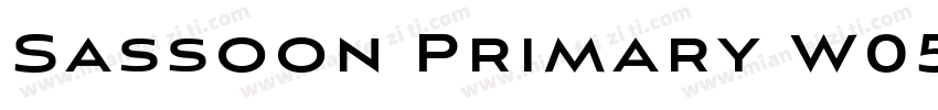 Sassoon Primary W05字体转换